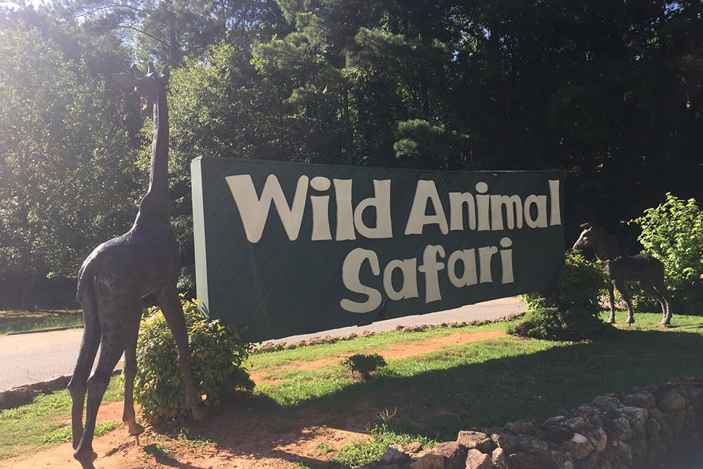 Wild Animal Safari