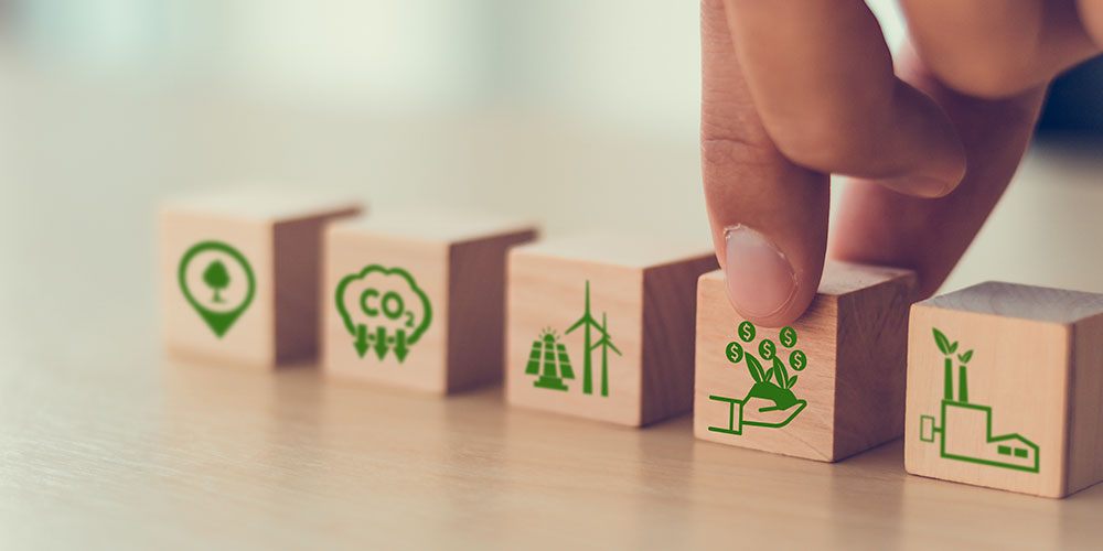 Choosing Your Carbon Credits