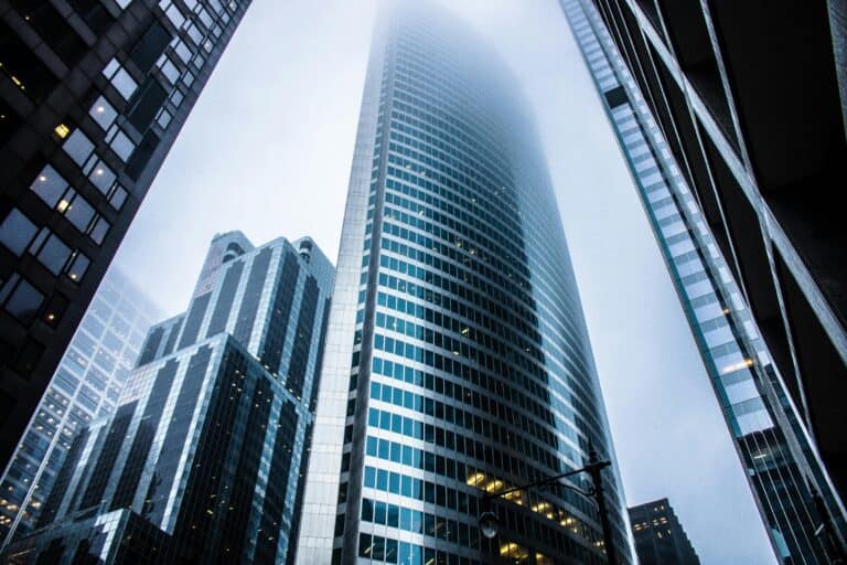 entity structure for your business
